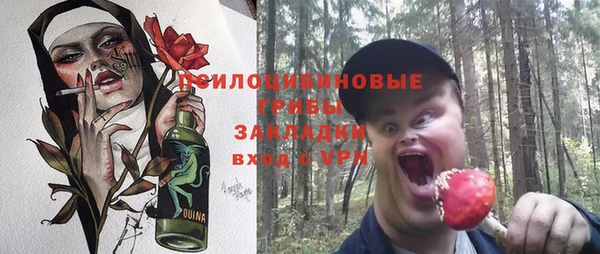 хмурый Заводоуковск