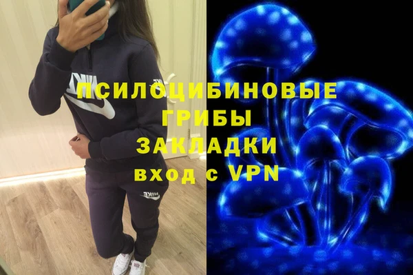 apvp Заволжск