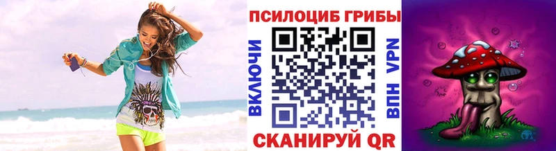 Галлюциногенные грибы Psilocybine cubensis  Сасово 